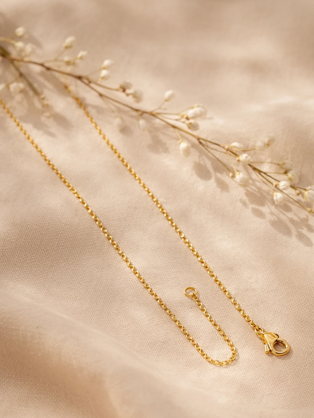 Demi Fine 18K Gold Plated Stainless steel Classic Disc P Pendant Necklace Length - 23.4 cm