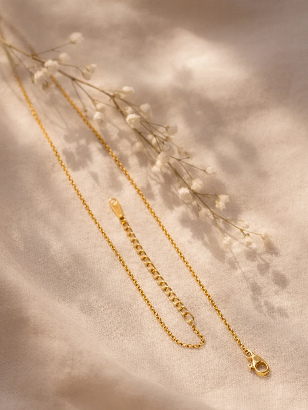 Demi Fine 18K Gold Plated Stainless steel Minimal C Pendant Necklace Length - 23 cm