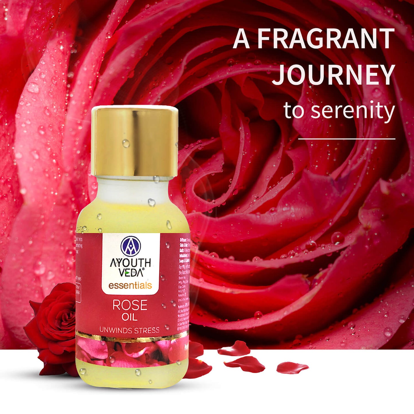 100% Pure Rose Essential Oil | Therapeutic-Grade | Promotes Relaxation, Calms Mind & Uplifts Mood | Steam-Distilled Rose Oil | 15 ml 15ml