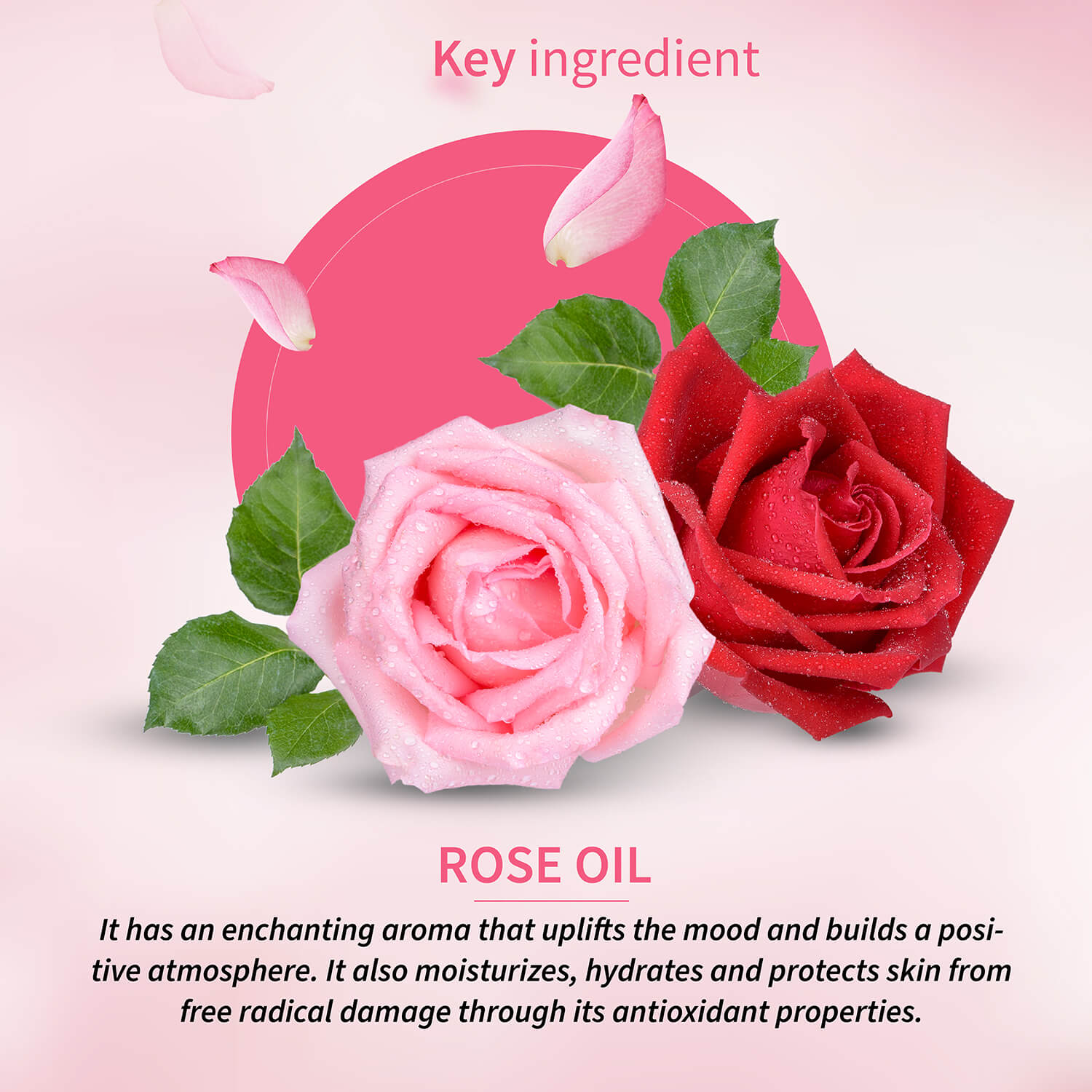 100% Pure Rose Essential Oil | Therapeutic-Grade | Promotes Relaxation, Calms Mind & Uplifts Mood | Steam-Distilled Rose Oil | 15 ml 15ml