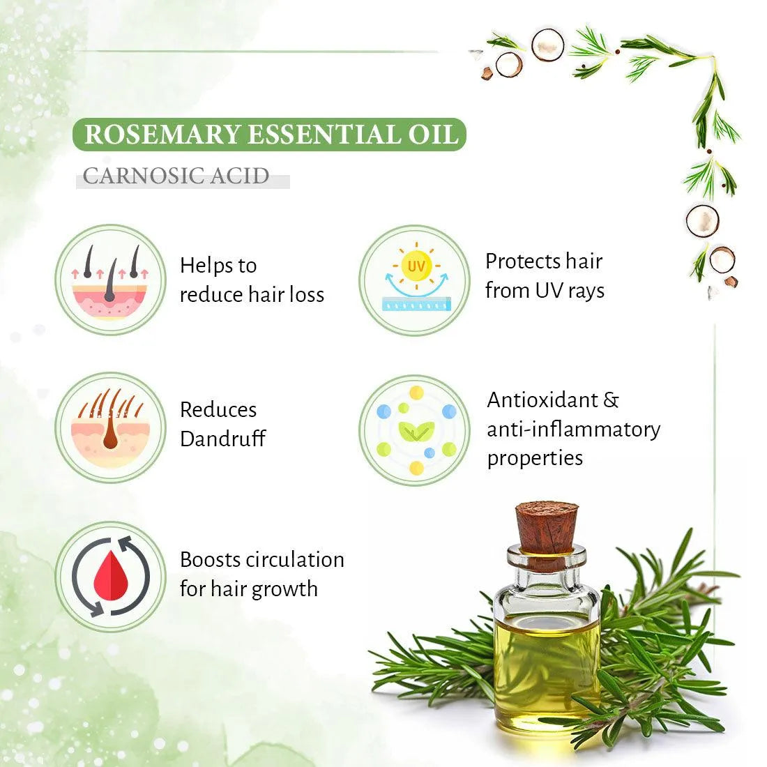 Rosemary Tea Tree Coconut Shampoo, Hair Growth Reduces Dandruff Oiliness Itching, Natural Coconut Derived Foaming + Hair Conditioner 200ml