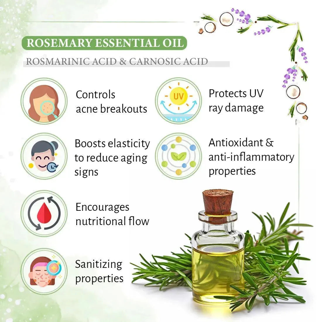 Rosemary Lavender Coconut Body Oil, Glowing Skin, Moisturizing Refreshing Aroma, Non Sticky Anti Aging, Essential Oil 200ml