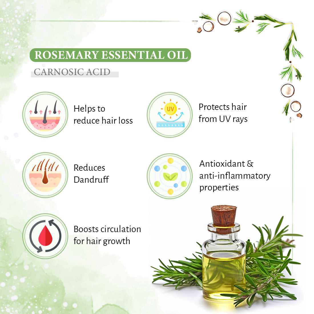 Rosemary Tea Tree Coconut Serum & Shampoo Combo: Reduces Dandruff & Scalp Itching, Hair Growth, Blocks DHT, Steam Distilled Essential Oil, Virgin Coconut Oil With Biotin Caffeine Vitamin E B5 230ml