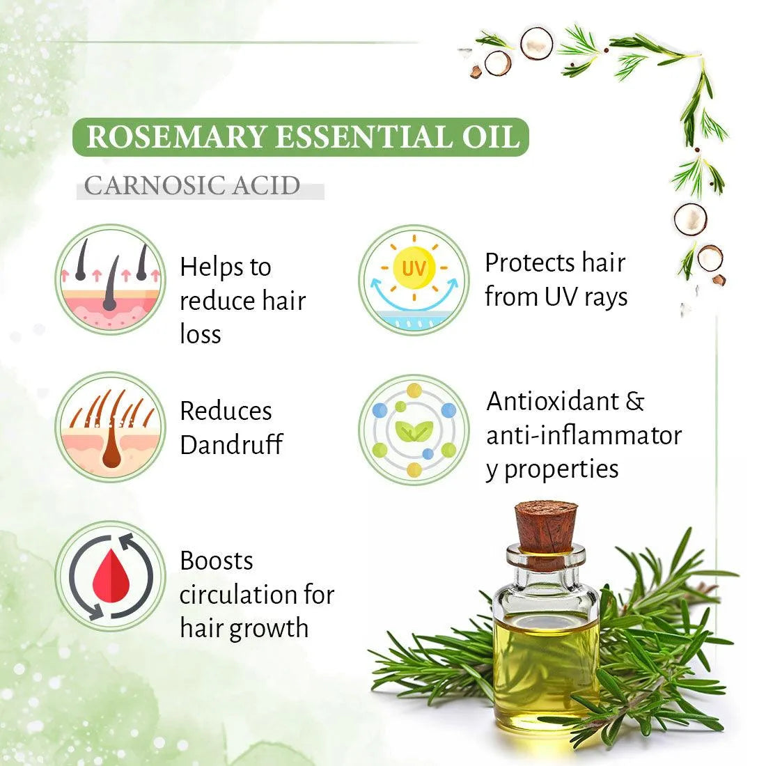 Rosemary Tea Tree Coconut Water Mist Spray,Hair Growth,Reduces Dandruff Scalp Itching & Oiliness,Steam Distilled Essential Oil 200ml x 3