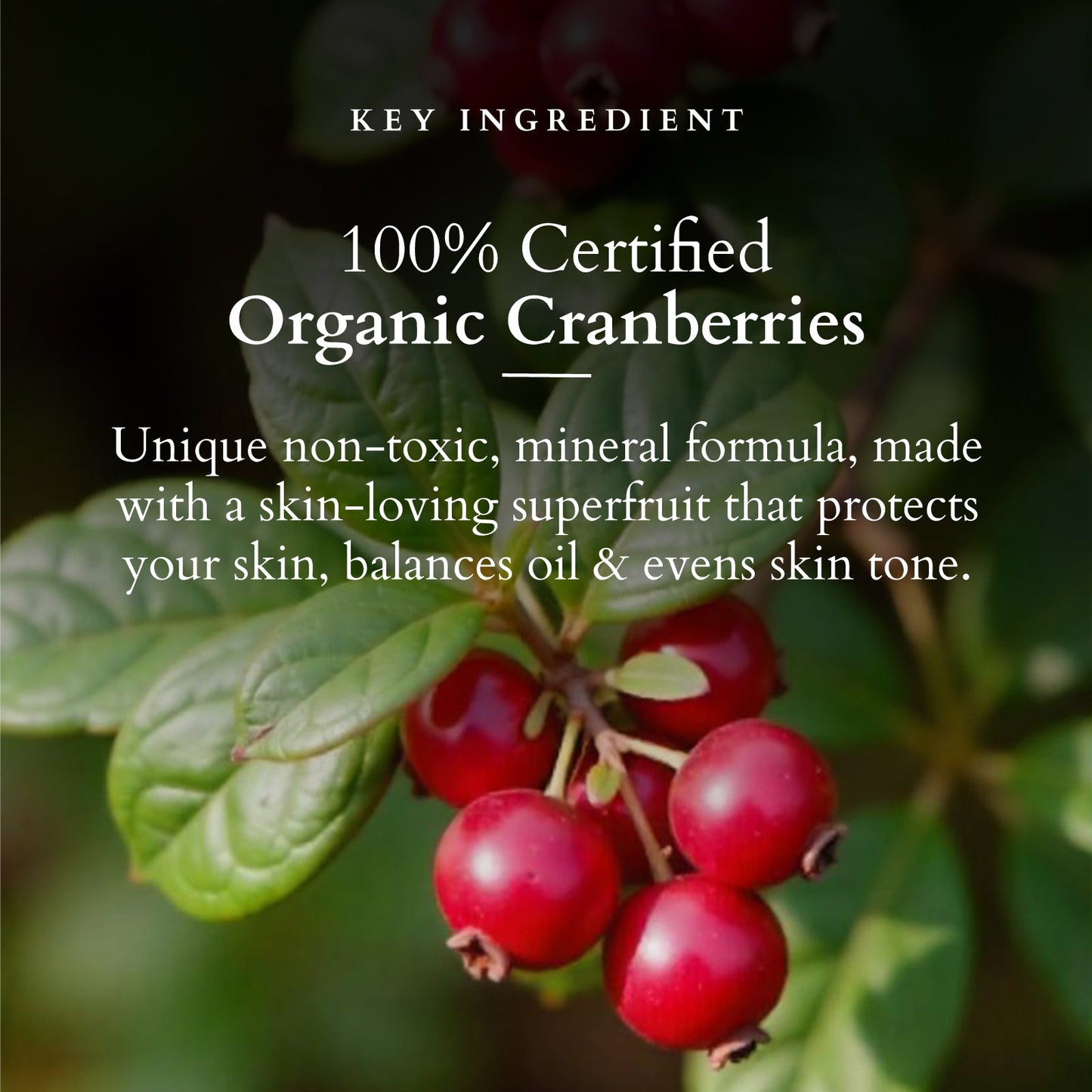 Organics+ Ultra Matte Mineral Sunscreen SPF 40 PA+++ 