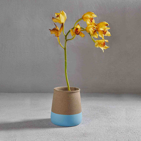 BONDI CERAMIC PLANTERS 15(長さ) x 15(幅) x 16(高さ); 直径: 15