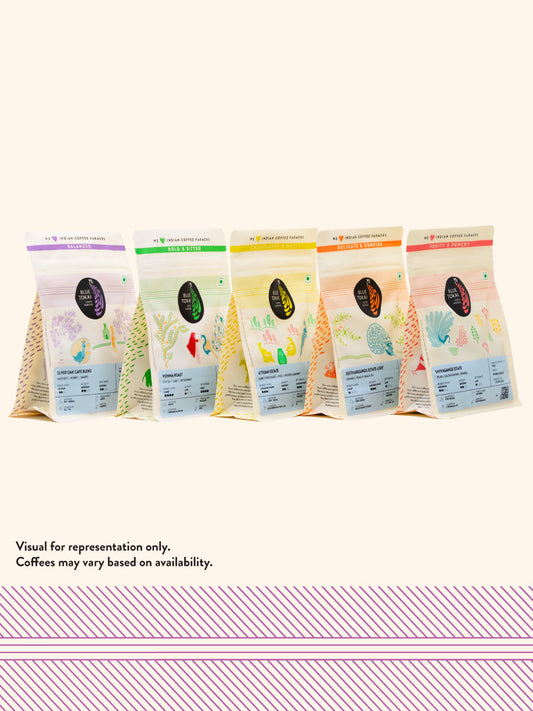 5-in-1 Explorer Pack Whole Bean 75g x 5