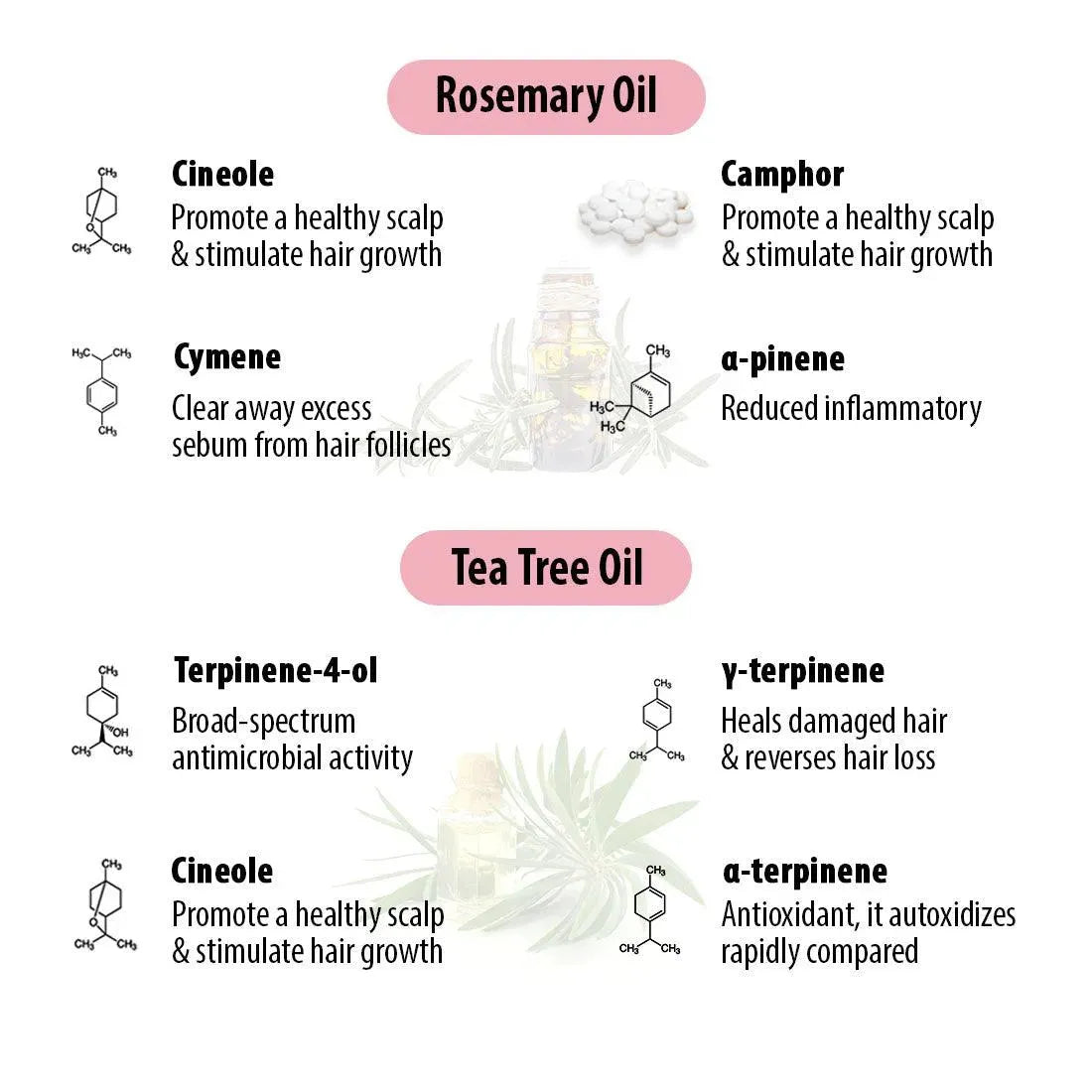 Schoolers Hair Oil for school-going Kids Girl & Boy with Rosemary & Tea Tree Oil –Strengthens & Promotes Hair Growth & Nourishes Hair Follicles 200ml