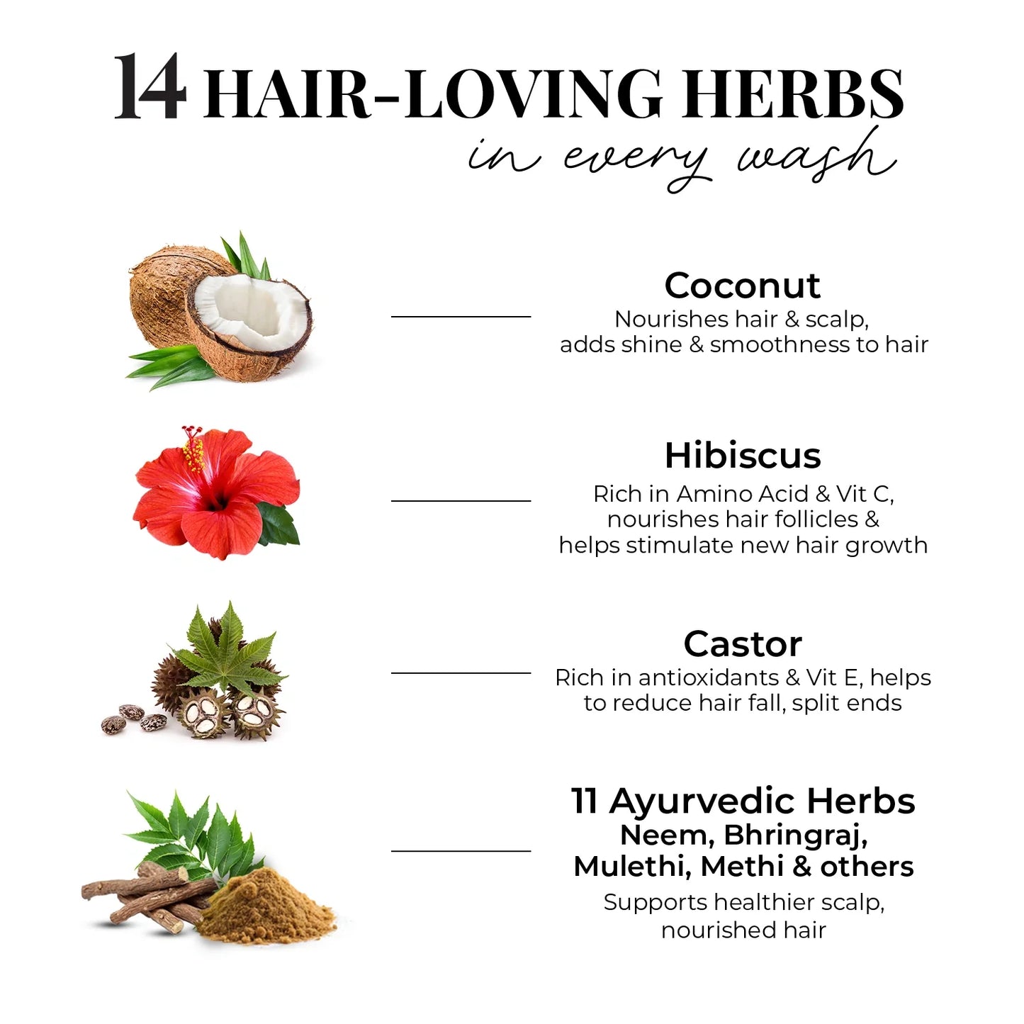 Strong & Nourish Shampoo | Coconut, Hibiscus, Castor & 11 Herbs 200ml