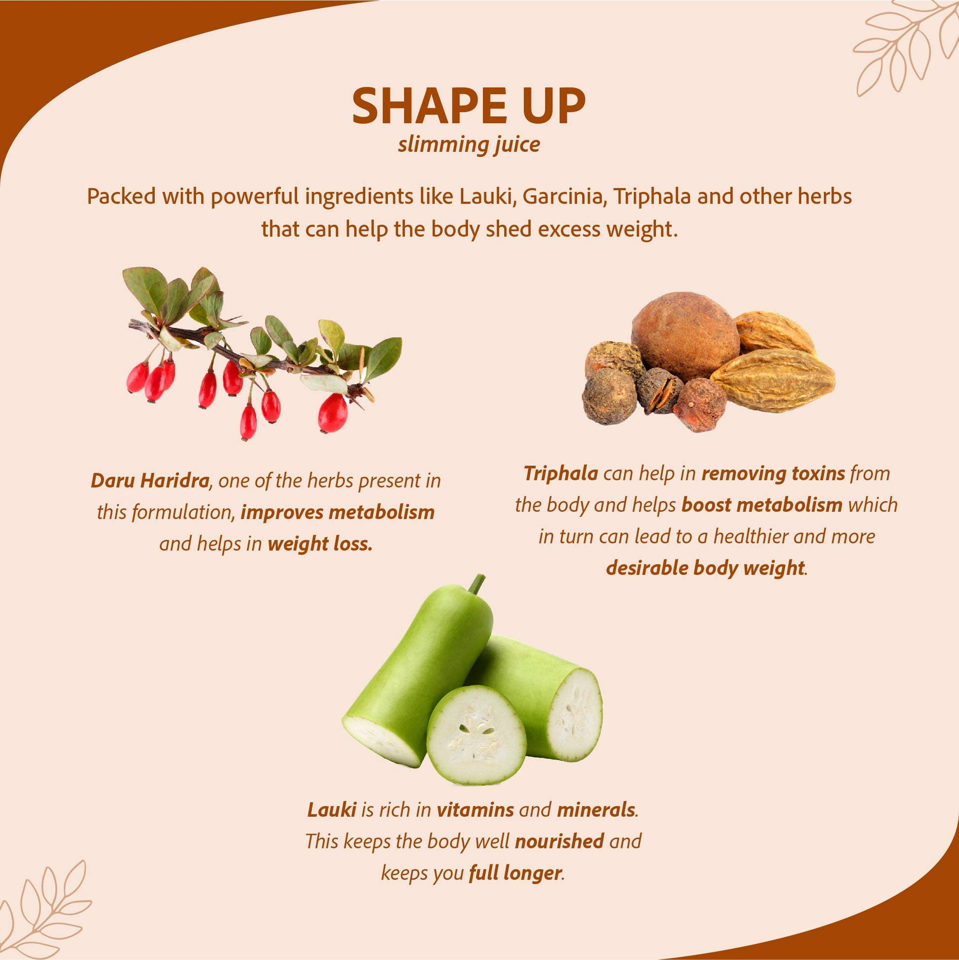 Shape Up Slimming Juice - Burn Fat Naturally | 7 Potent Herbs For Weight Management | 1 L 1L