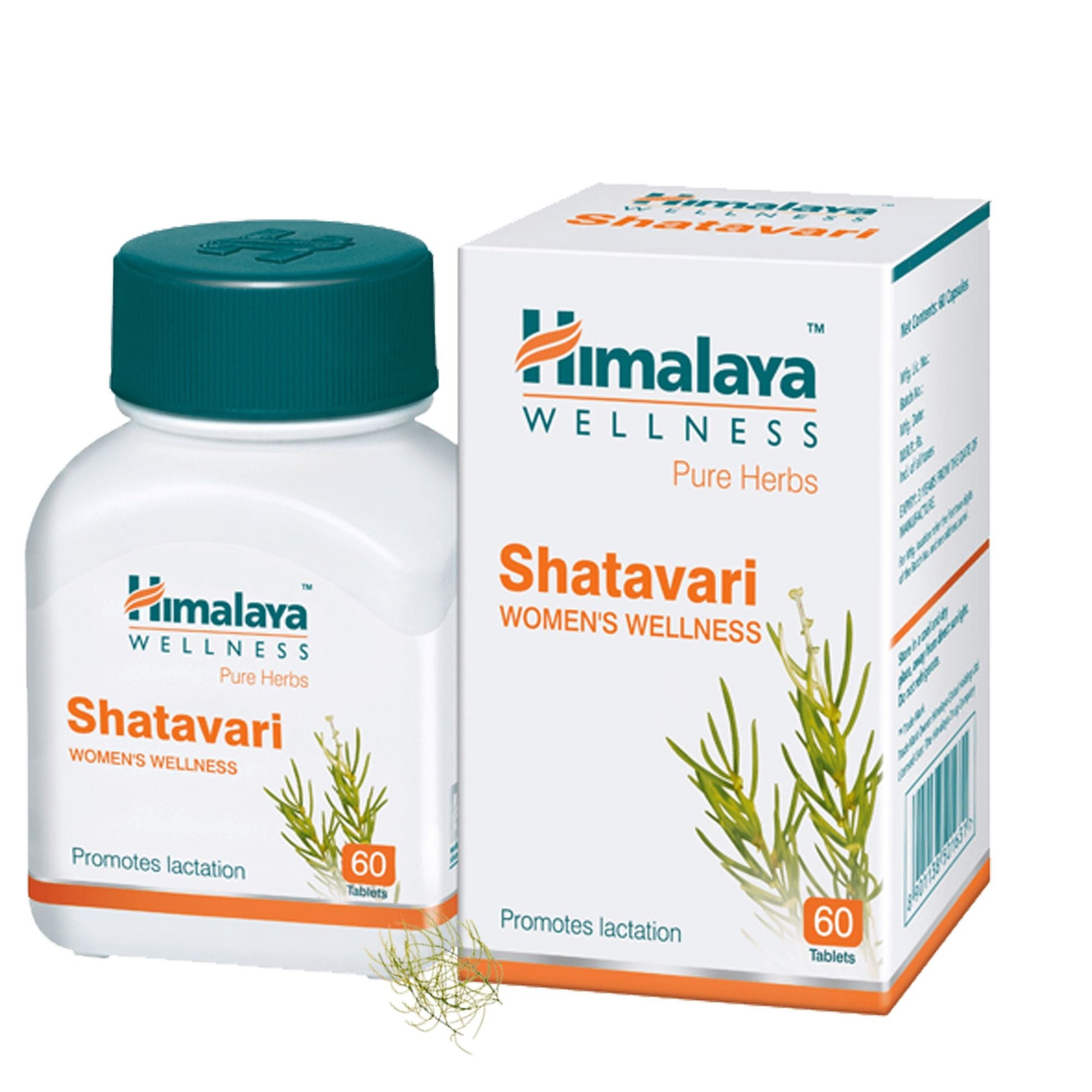 【Himalaya】 Shatavari｜シャタバリ
