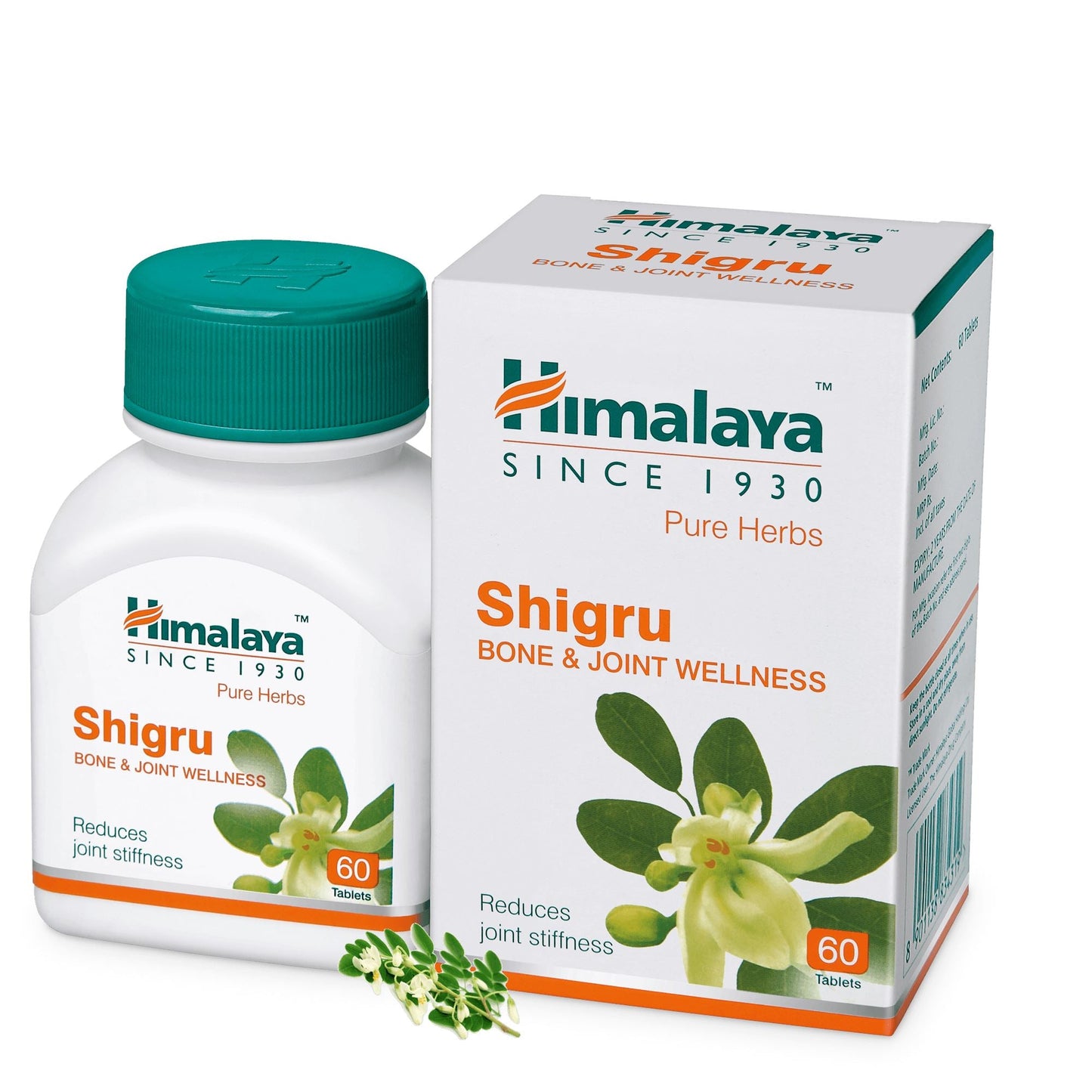 【Himalaya】 Shigru｜シグル