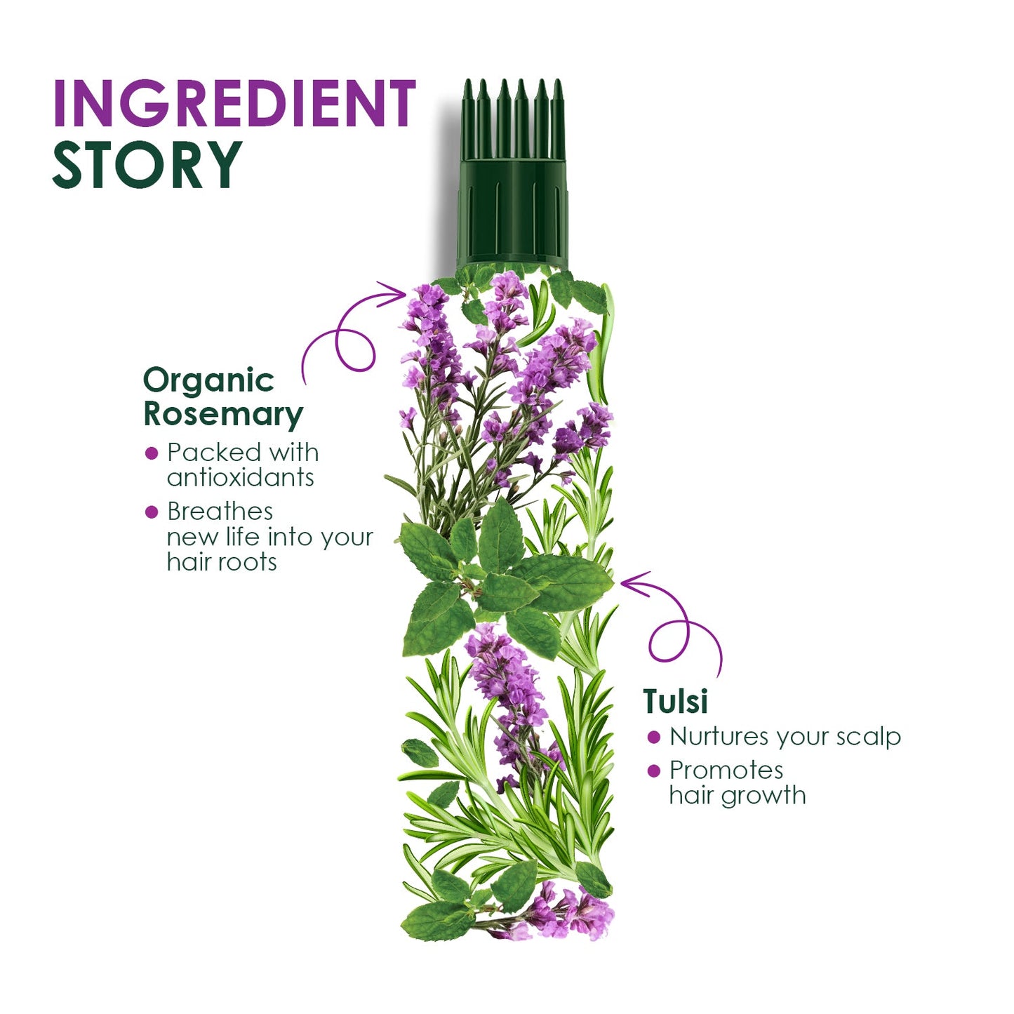 Kesh King Organic Rosemary Oil 200ml