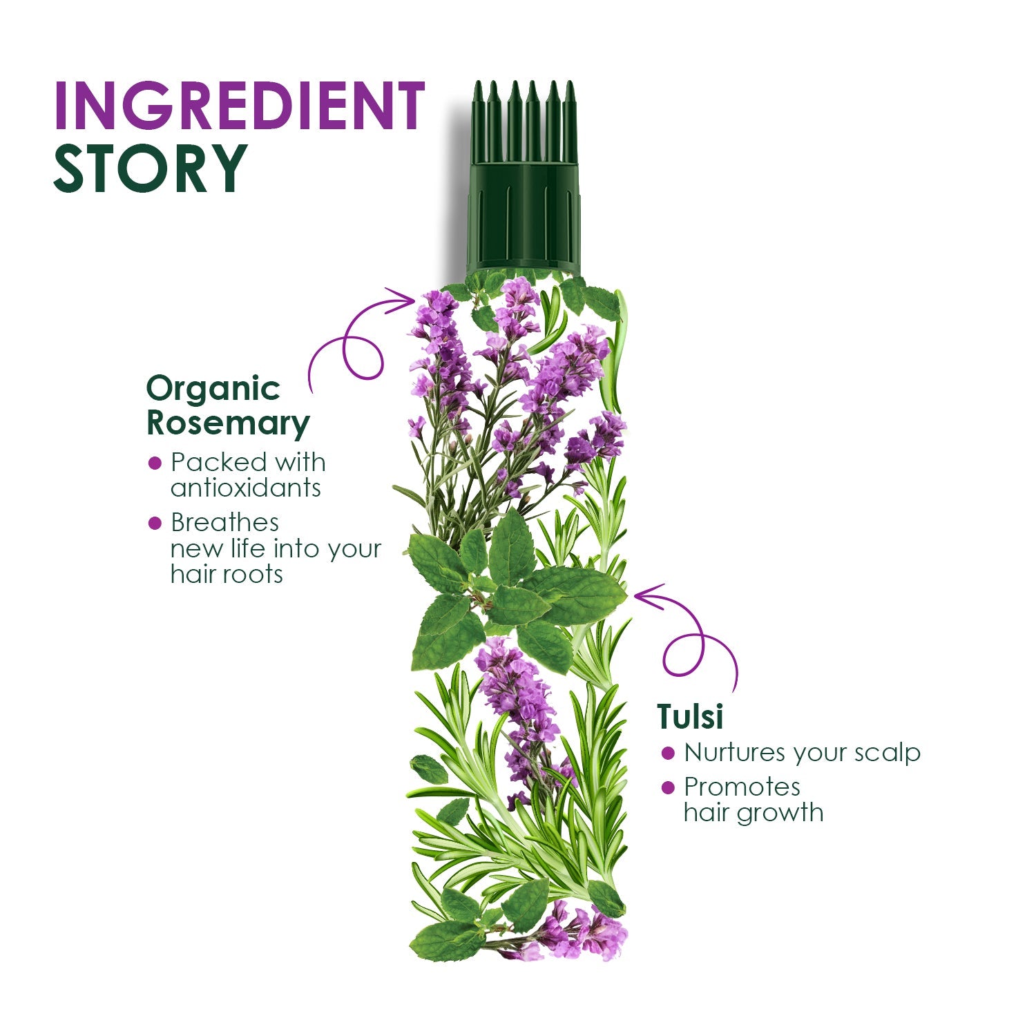 Kesh King Organic Rosemary Oil 200ml