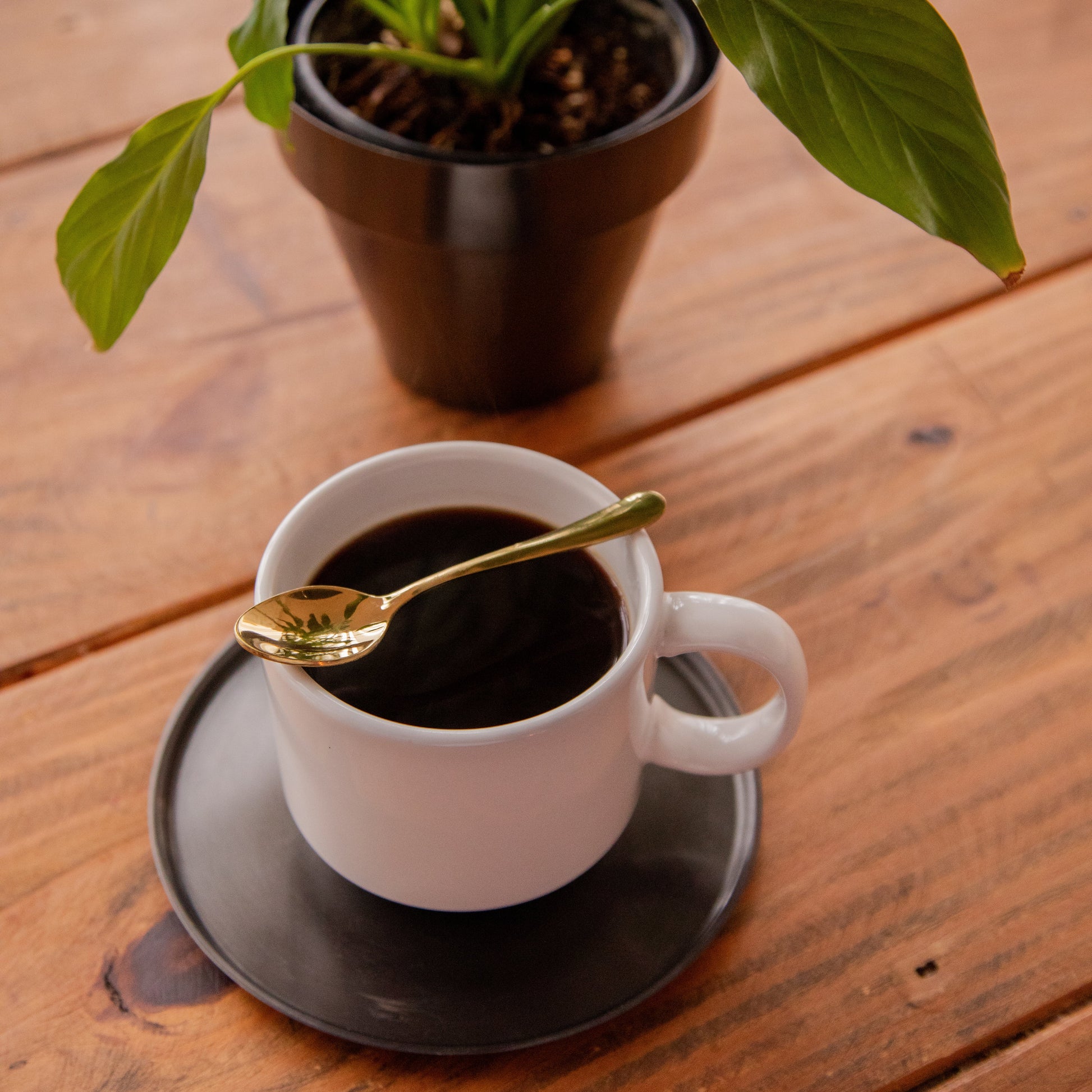 Gold Coffee Spoon Set – Set of 6 Pack of 6