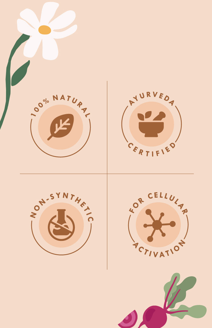 Fresh Ayurveda Starter Kit グランド サマー（11点入り）