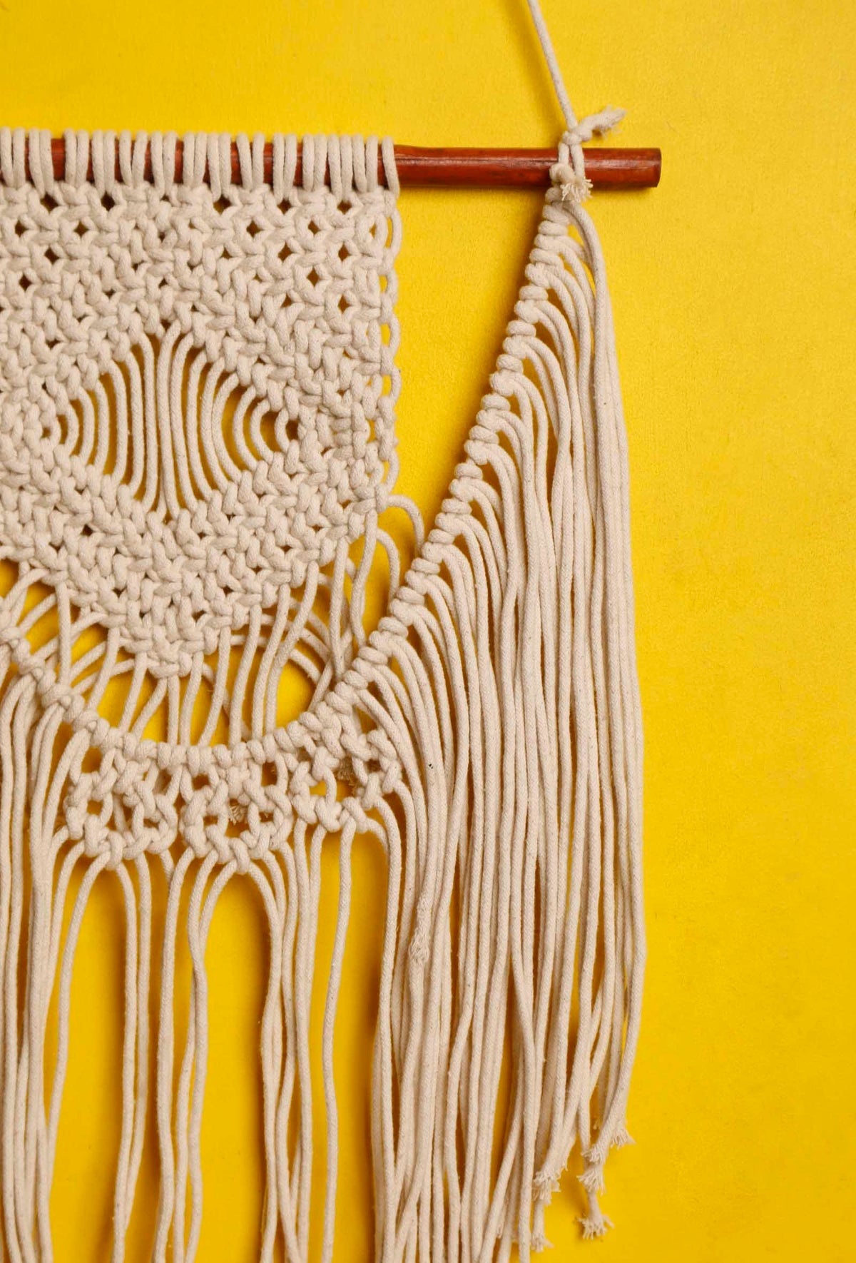 Macrame U-Shaped Wall Hanging