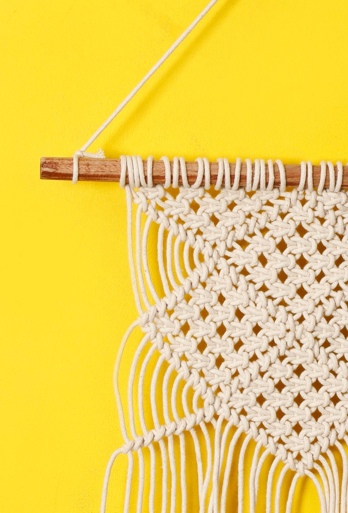 Knotted Macrame Wall Hanging