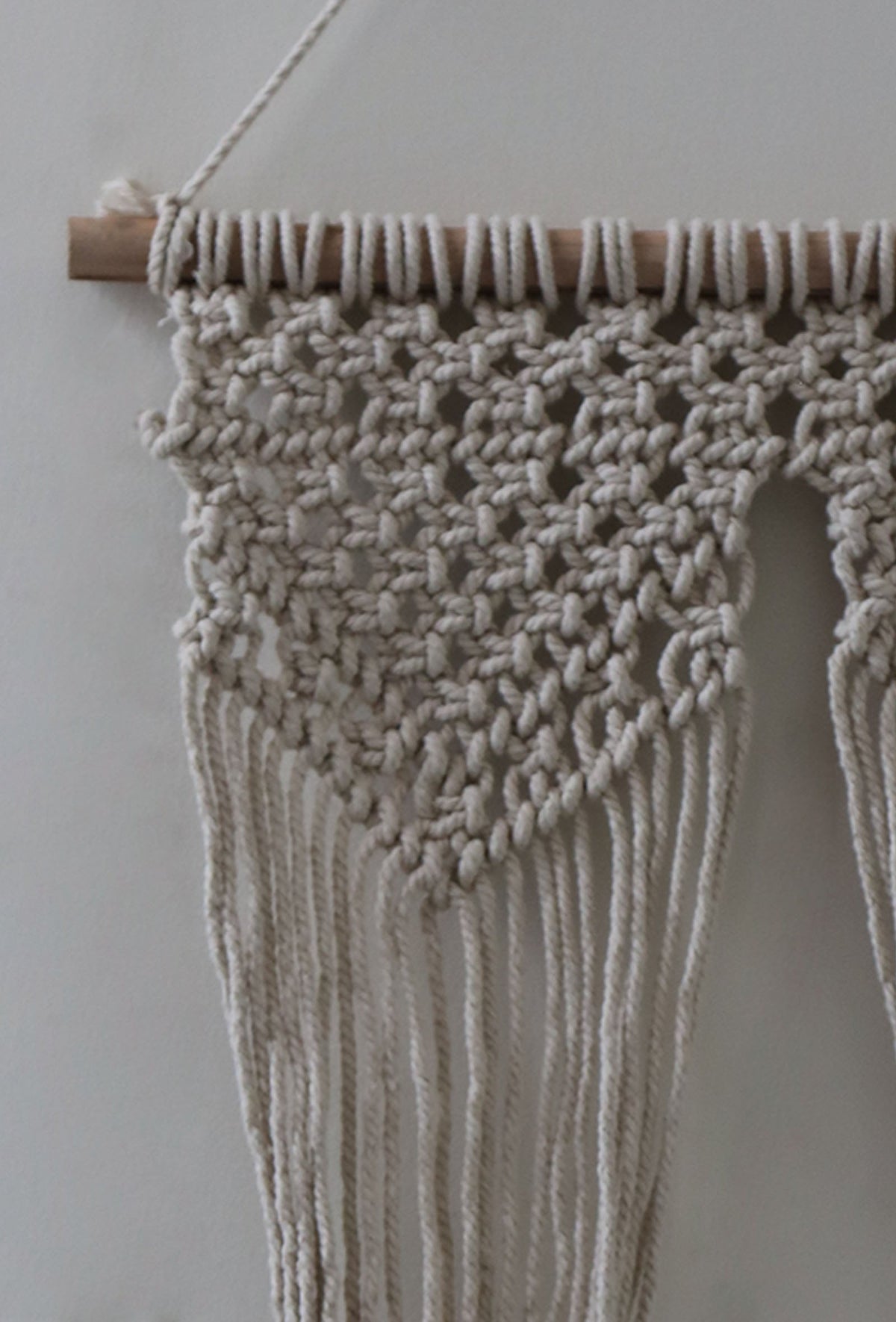 Florentina Double Macrame Wall Hanging