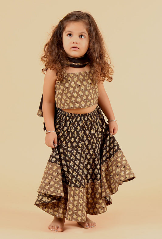 Set of 3: Adya Khaki Ajrakh Print Cotton Top, Black Skirt & Dupatta サイズ 4〜5歳