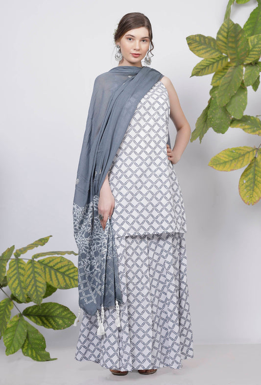 Powder Blue Hand-Block Printed Kota Tasseled Dupatta