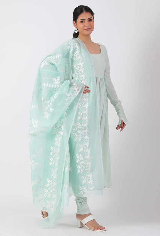 Ice Blue Chickoo Net Dupatta