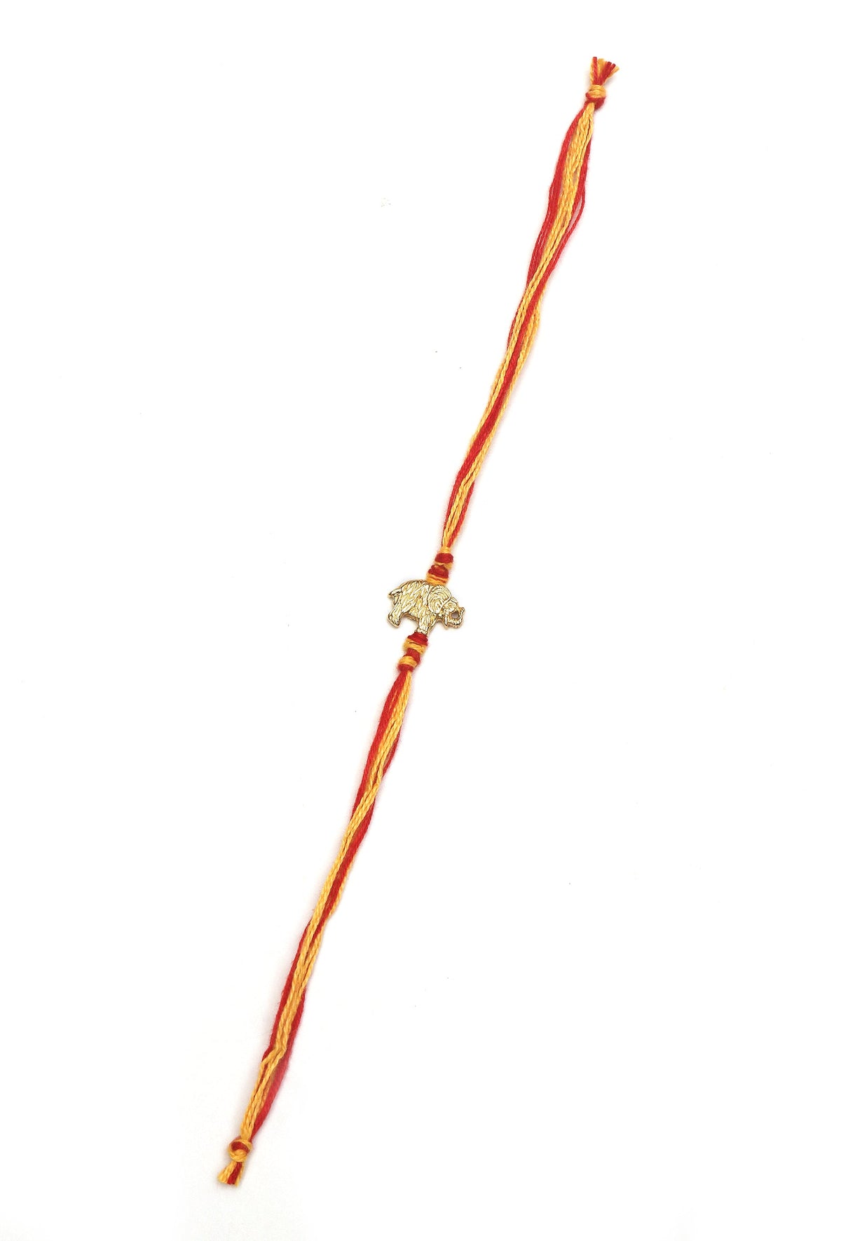 Vyaghra Shakti Rakhi