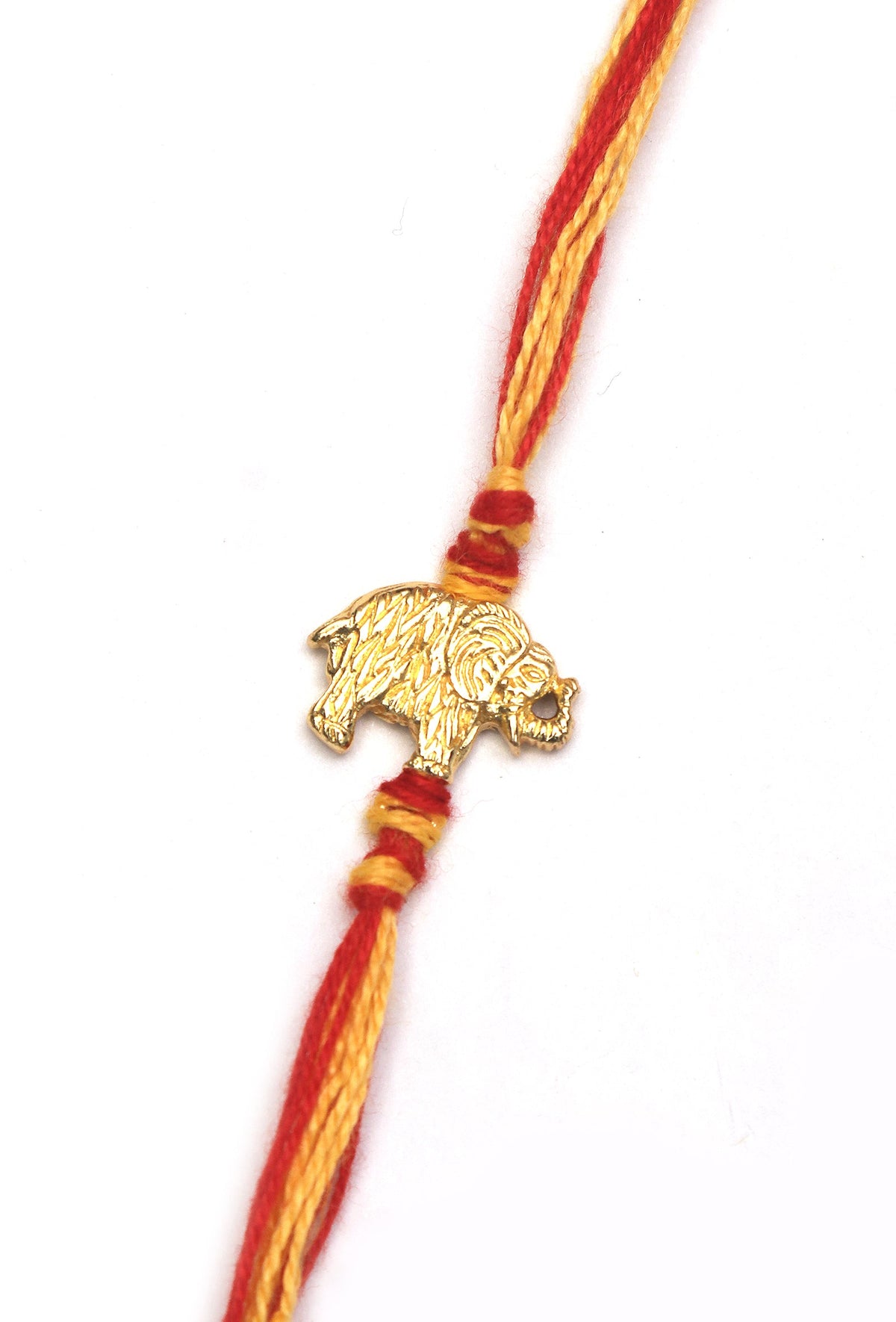 Vyaghra Shakti Rakhi