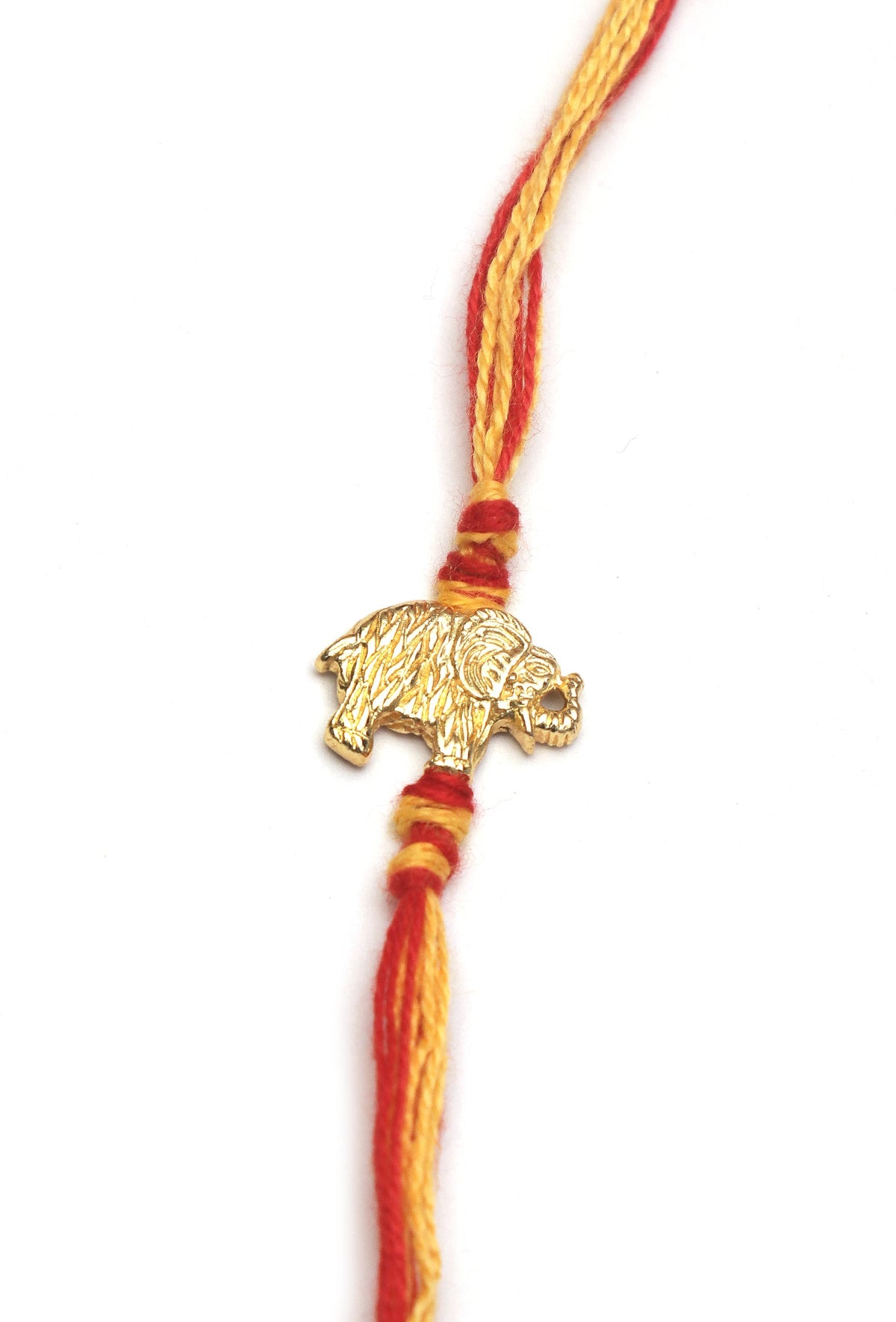 Vyaghra Shakti Rakhi