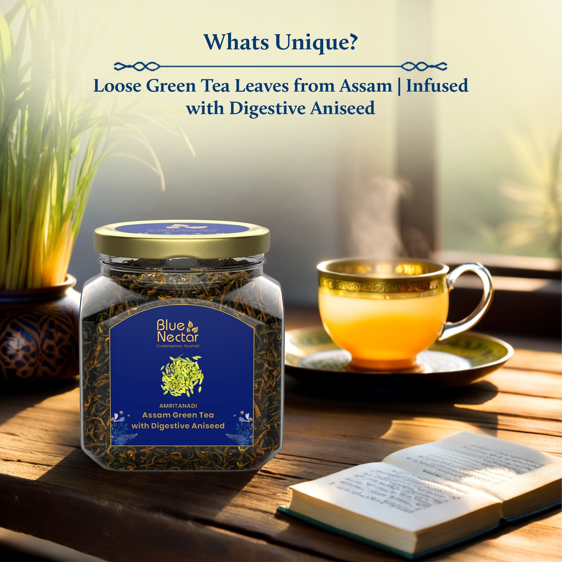 Digestive Aniseed Green Tea Air-Tight Glass Jar with Free Tea Infuser (65 g | 33 cups) 65g