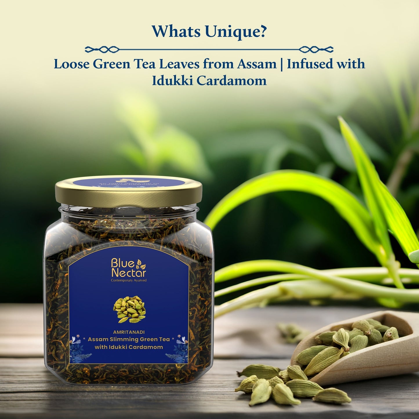 Idukki Cardamom Green Tea for Weight Management & Skincare | Air-Tight Glass Jar with Free Tea Infuser (50 g + 15 g Free | 33 cups) 50g