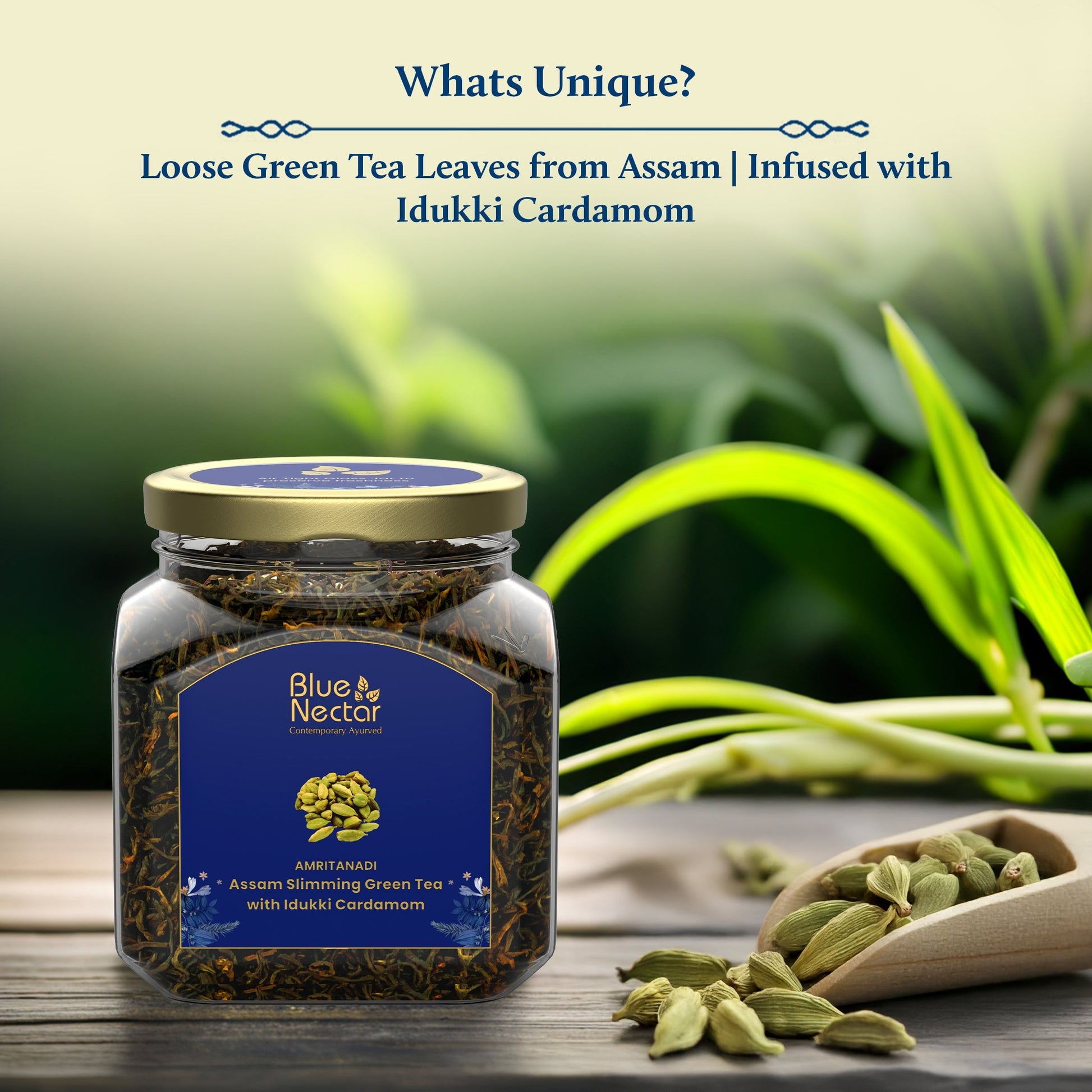 Idukki Cardamom Green Tea for Weight Management & Skincare | Air-Tight Glass Jar with Free Tea Infuser (50 g + 15 g Free | 33 cups) 50g