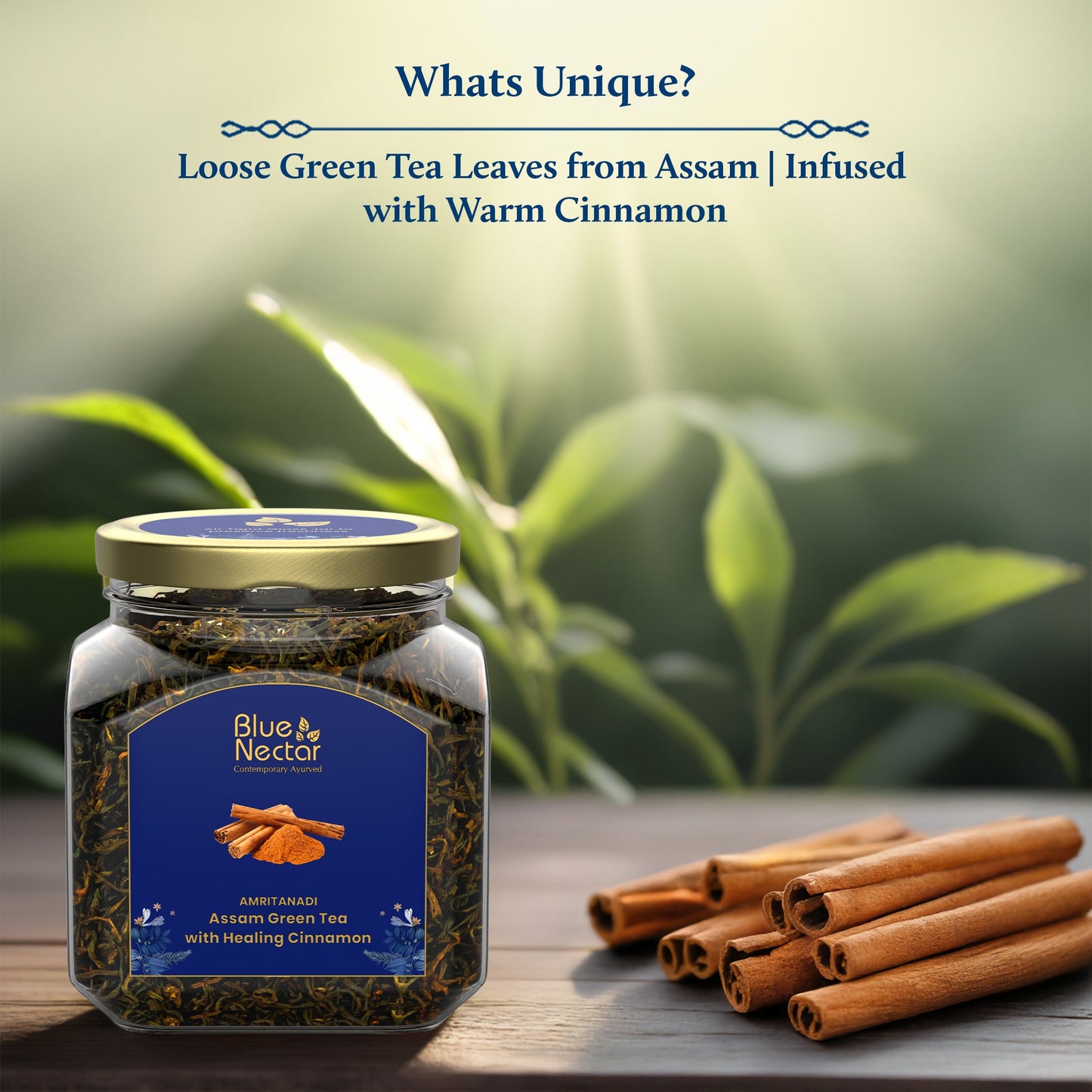 Cinnamon Green Tea to Boost Metabolism | Air-Tight Glass Jar with Free Tea Infuser (50 g + 15 g Free | 33 cups) 50g