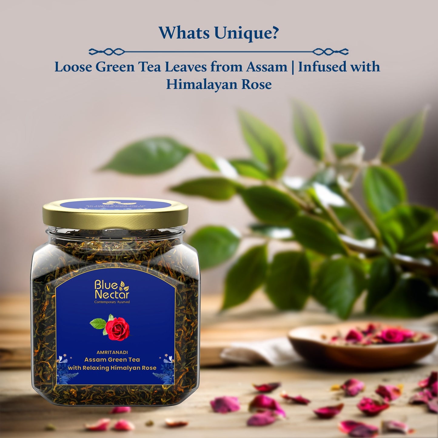 Himalayan Rose Green Tea for Relaxation | Air-Tight Glass Jar with Free Tea Infuser (65 g | 33 cups) 65g