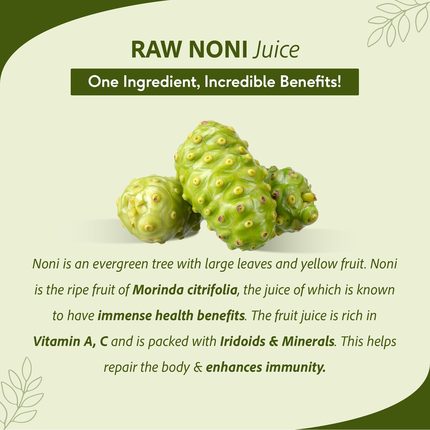 Raw Noni Juice - Holistic Health | Anti-inflammatory, Antioxidant, Immune Enhancing, Rich In Biotin & Vitamin C | 1 L 1L