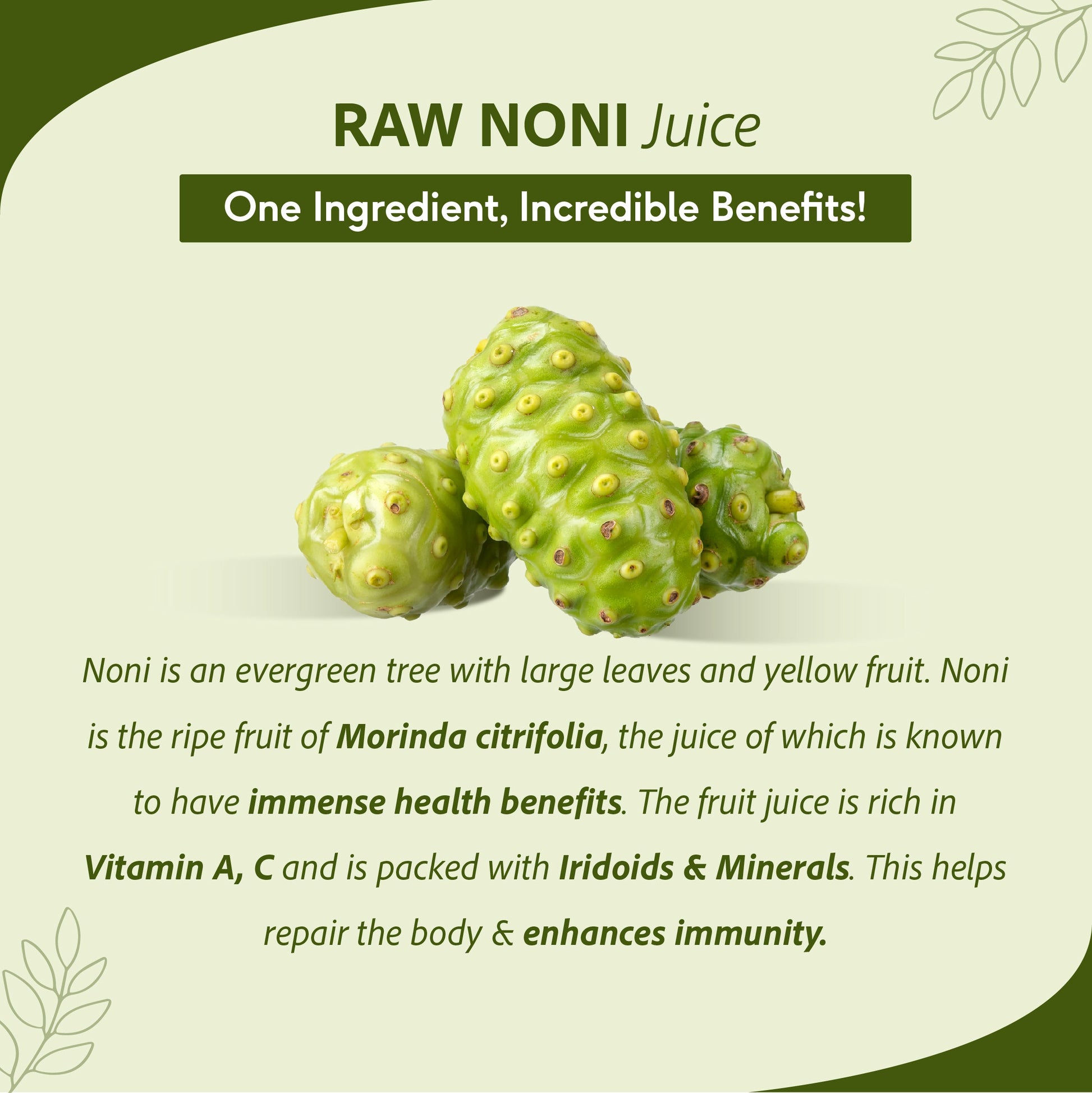 Raw Noni Juice - Holistic Health | Anti-inflammatory, Antioxidant, Immune Enhancing, Rich In Biotin & Vitamin C | 1 L 1L