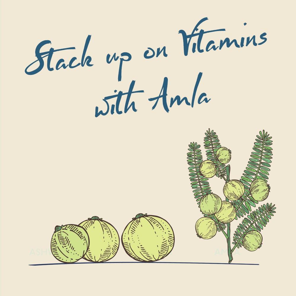 Amla - Anti Oxidant, 60 Tabs | 500 mg 500mg