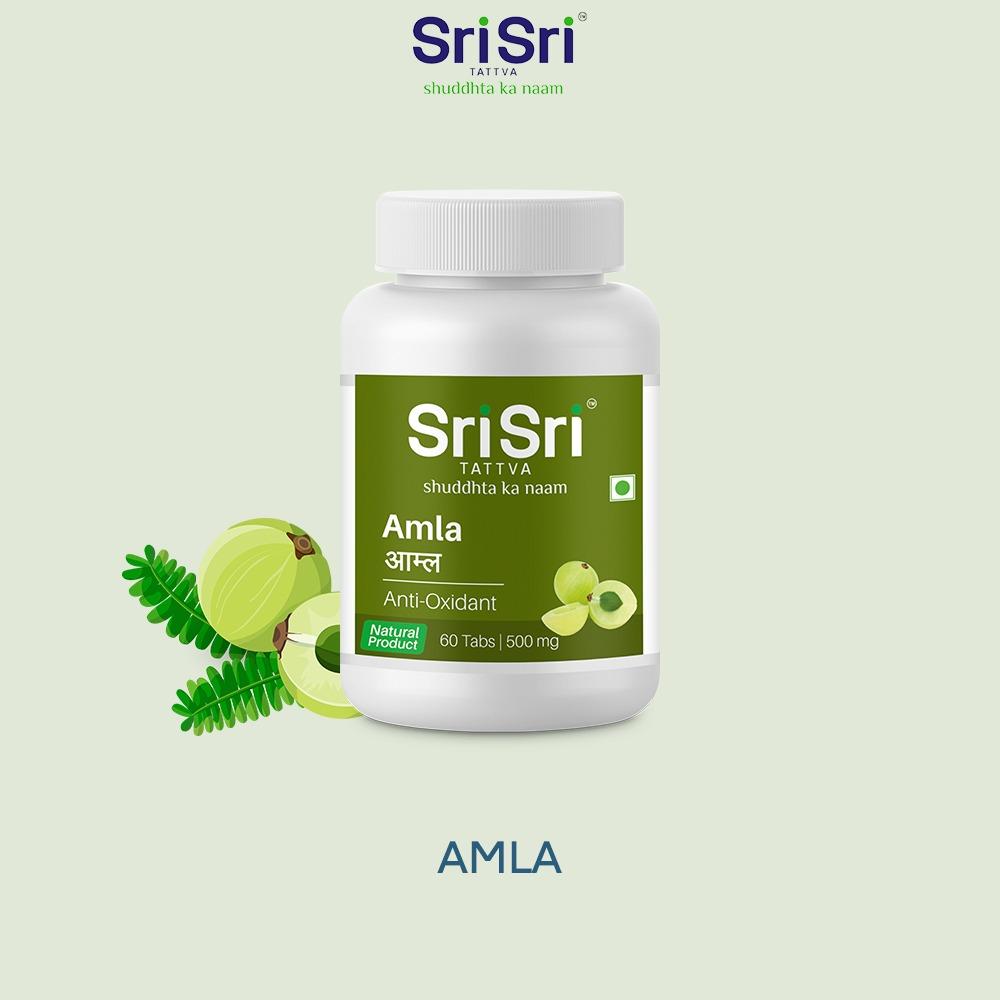 Amla - Anti Oxidant, 60 Tabs | 500 mg 500mg