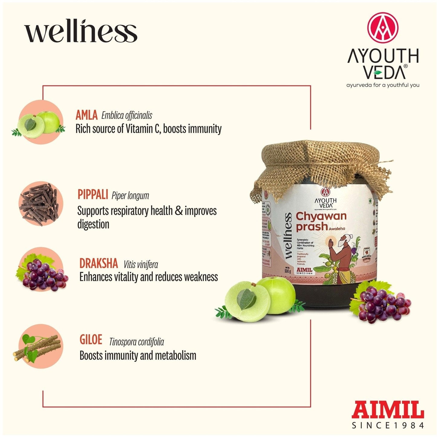 By Aimil Chyawanprash 500g | Helps build Strength and Stamina | With 40+ Ayurvedic Herbs | Helps Build Strength & Stamina | Builds Overall Health | Ayurvedic Health Supplement 500g