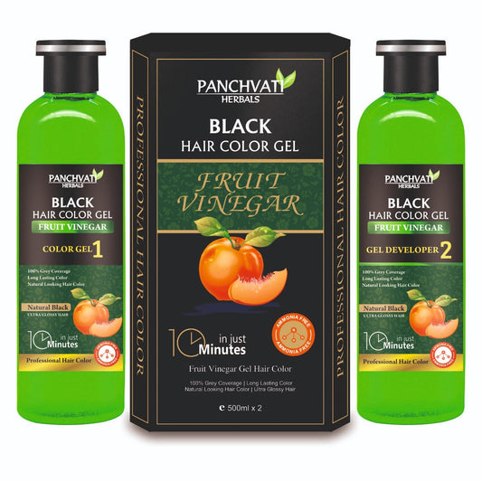 Fruit Vinegar Black Hair Color Gel 200ml x 2