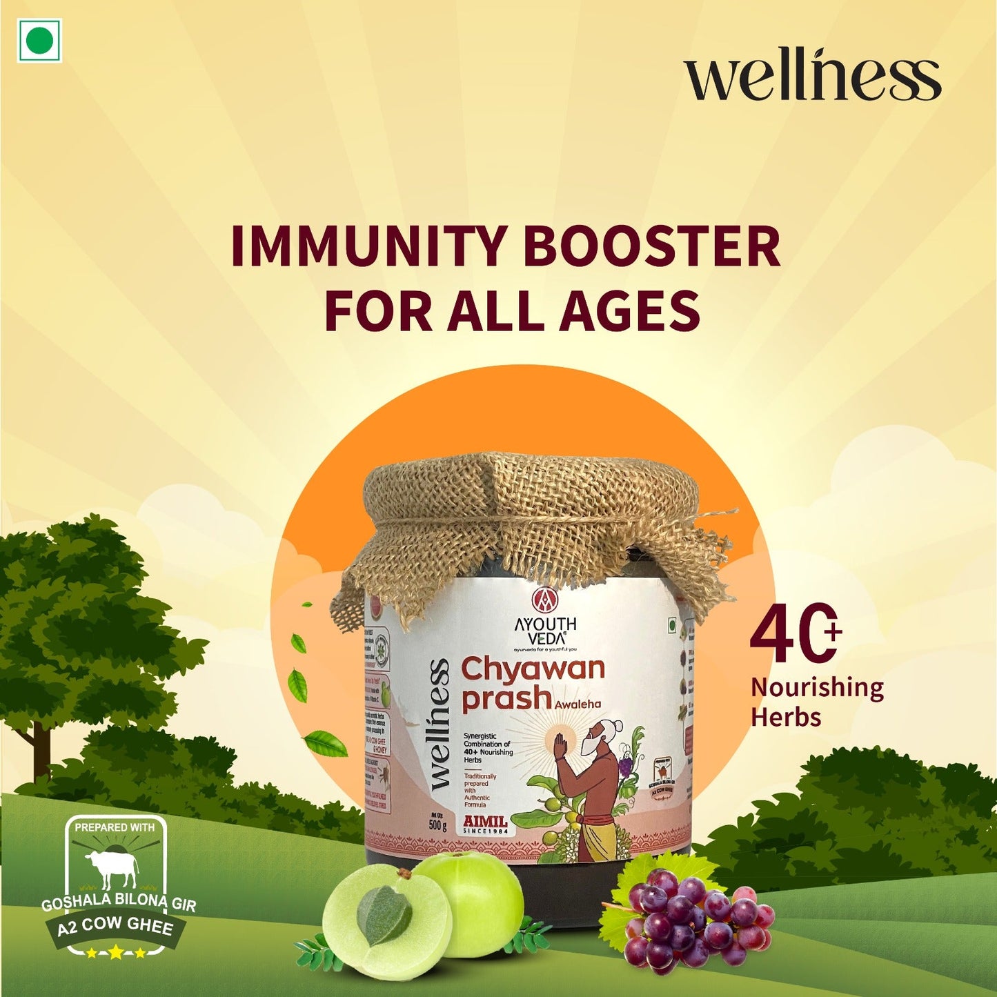 By Aimil Chyawanprash 500g | Helps build Strength and Stamina | With 40+ Ayurvedic Herbs | Helps Build Strength & Stamina | Builds Overall Health | Ayurvedic Health Supplement 500g