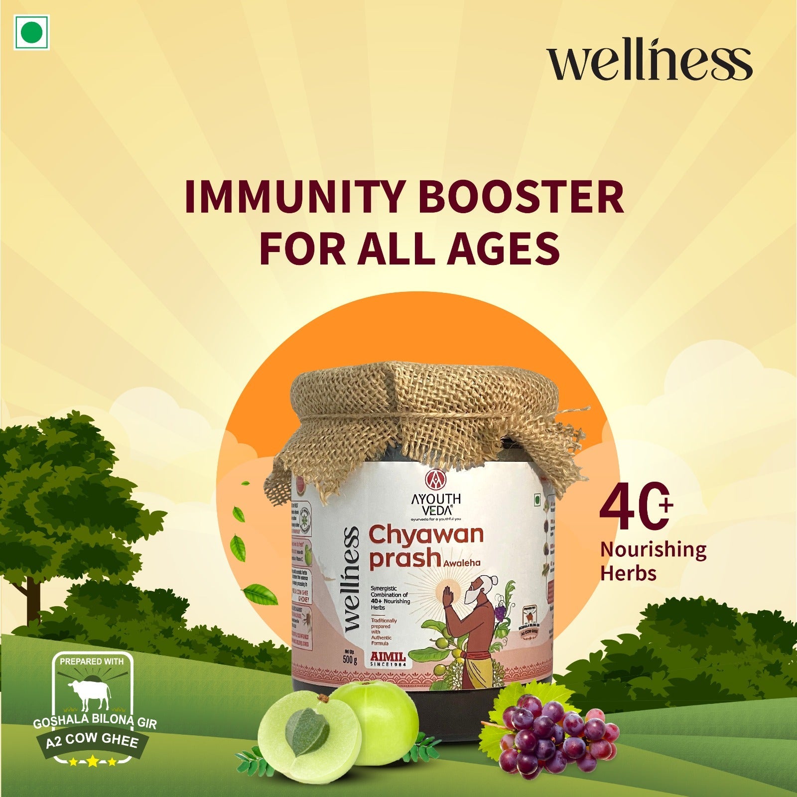 By Aimil Chyawanprash 500g | Helps build Strength and Stamina | With 40+ Ayurvedic Herbs | Helps Build Strength & Stamina | Builds Overall Health | Ayurvedic Health Supplement 500g
