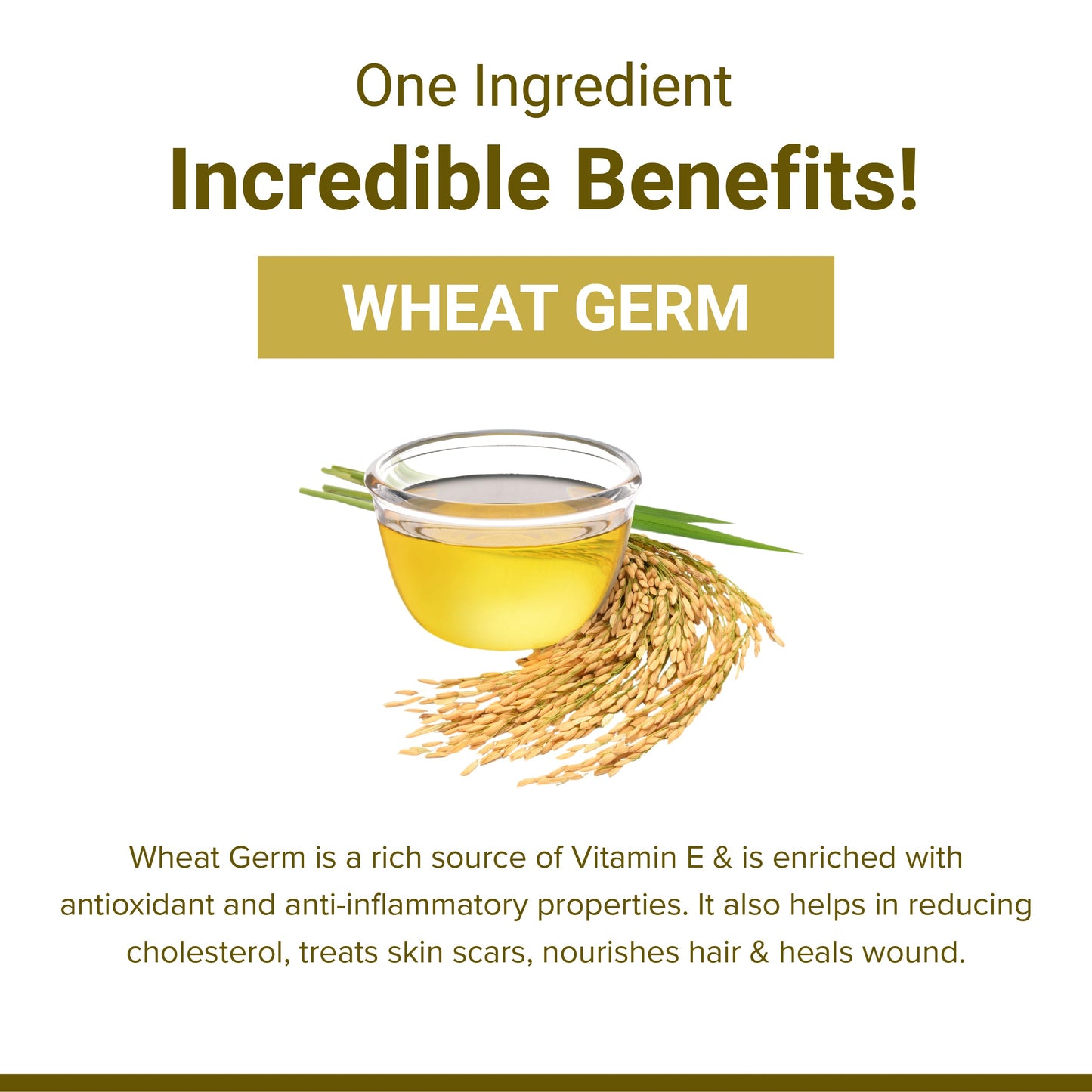 SupaSupp Wheat Germ Oil Vit - E | Enhances Cellular Regeneration, Better Systemic Maintenance And Helps In Weight Management |  Vitamin E | Health Supplement | 60 Veg Cap, 500 mg 500mg