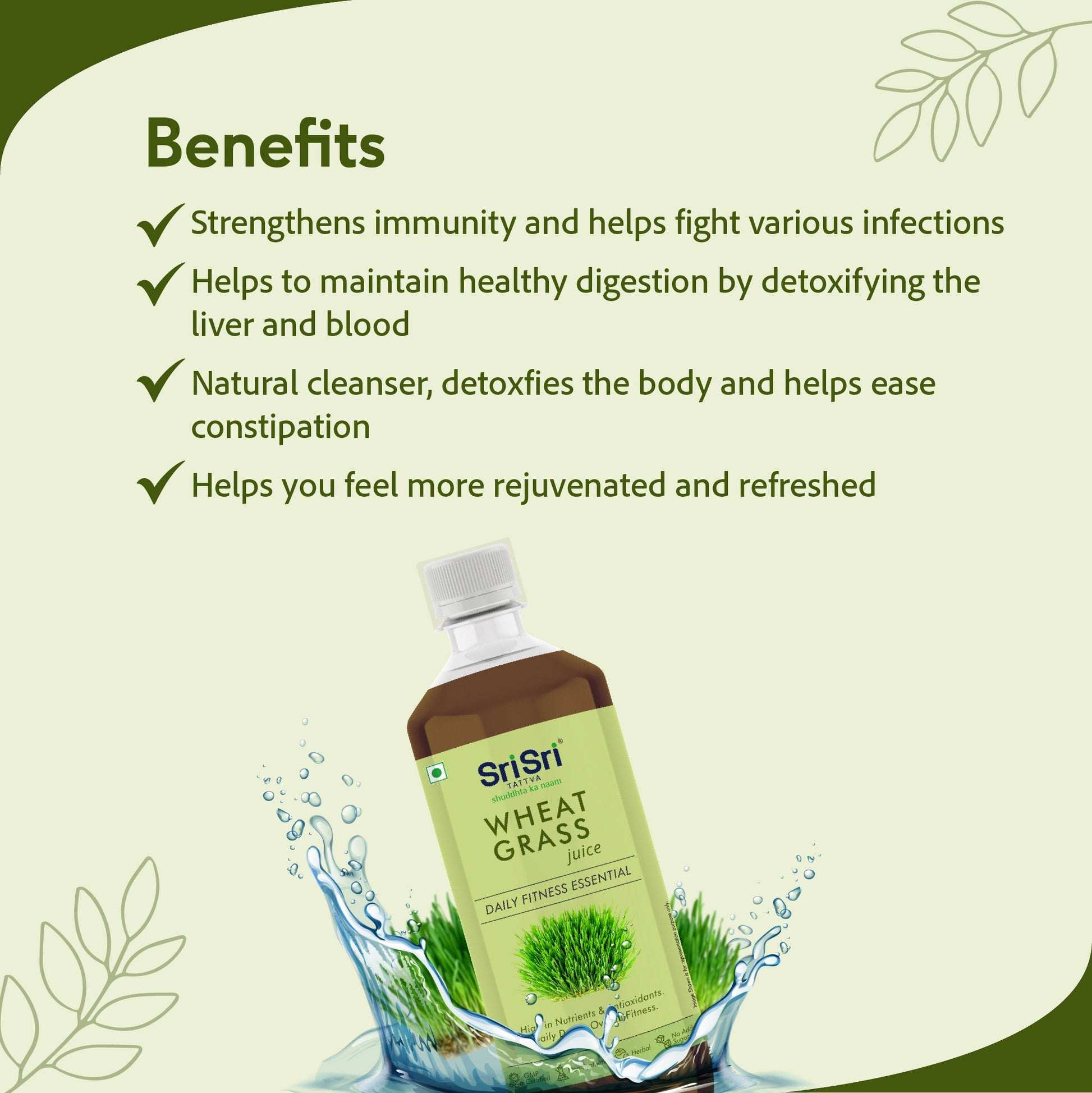 Wheat Grass Juice - Daily Fitness Essential | High In Nutrients & Antioxidants, Daily Detox, Overall Fitness | 1 L 1L