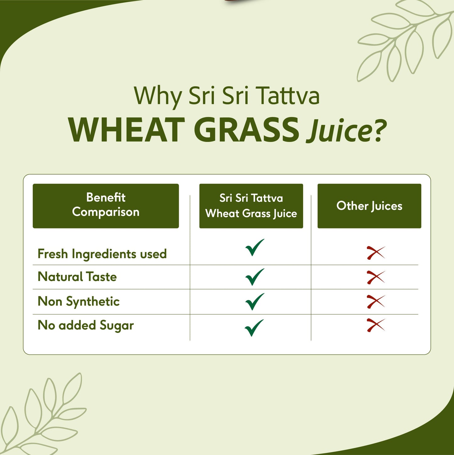 Wheat Grass Juice - Daily Fitness Essential | High In Nutrients & Antioxidants, Daily Detox, Overall Fitness | 1 L 1L