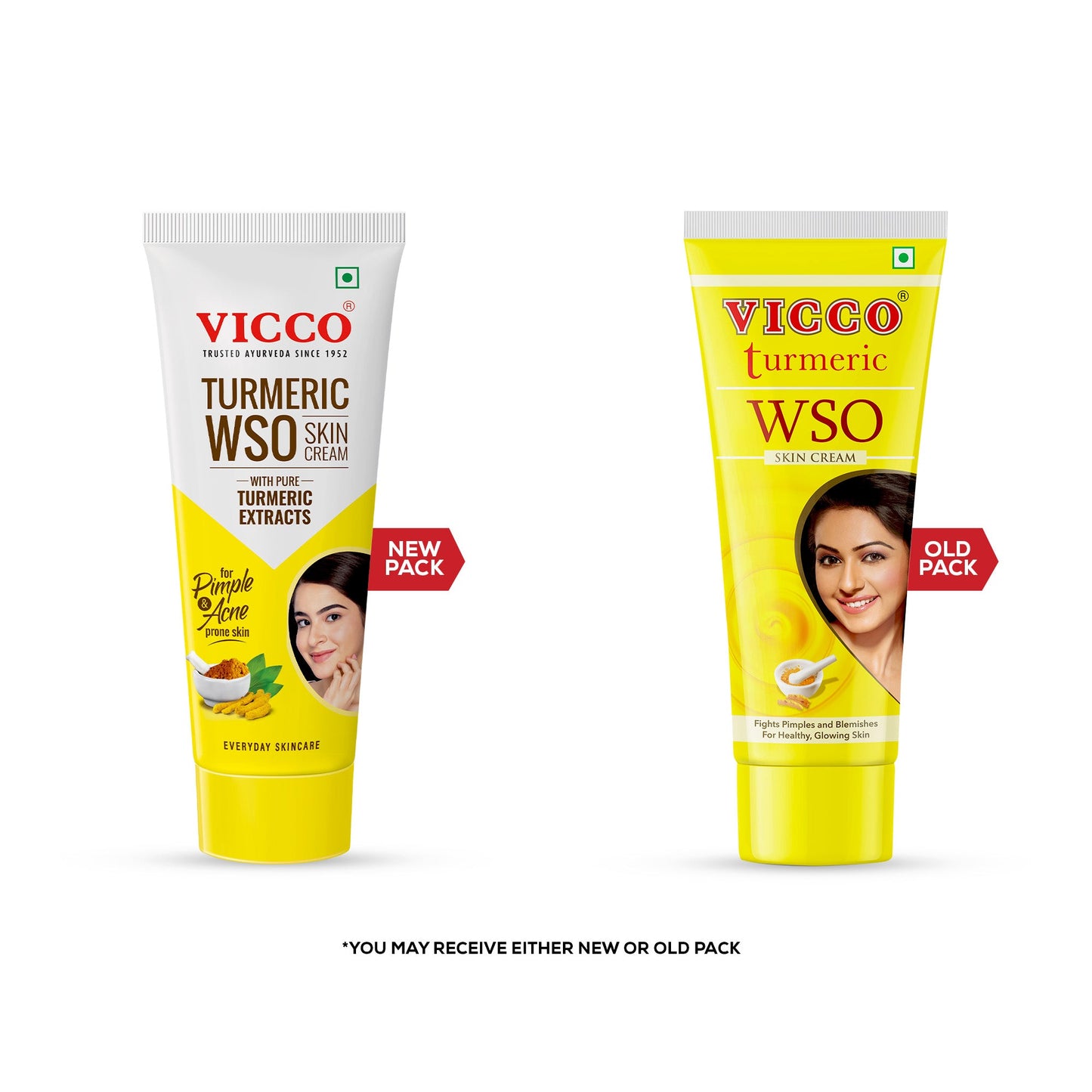 【Vicco】 Turmeric WSO Skin Cream｜ターメリック WSO スキンクリーム｜30g