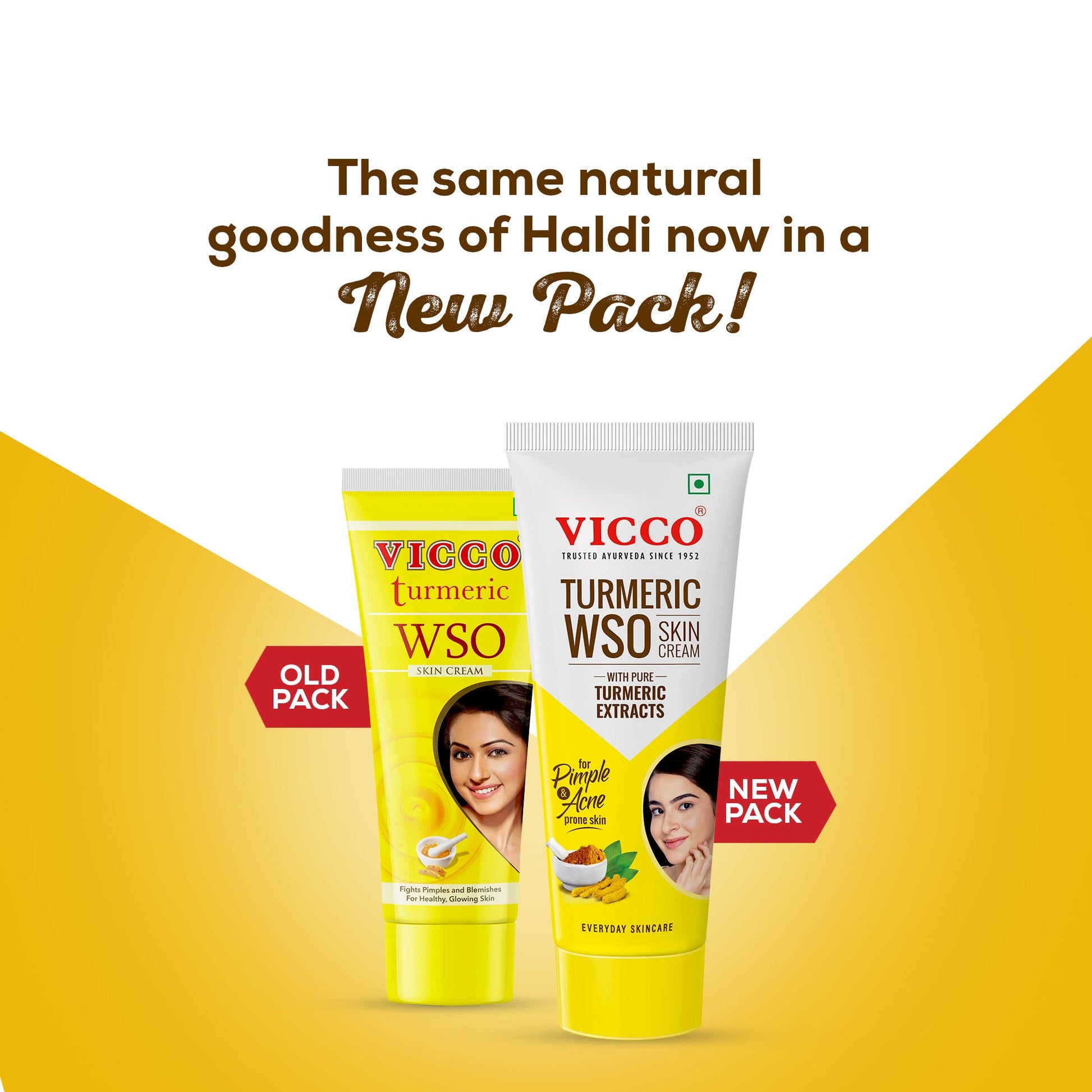 【Vicco】 Turmeric WSO Skin Cream｜ターメリック WSO スキンクリーム｜15g
