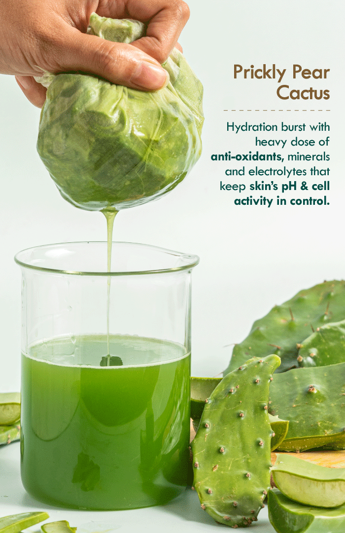 Active Aloe Cactus Hydra Lift Gel Moisturiser 50g × 2