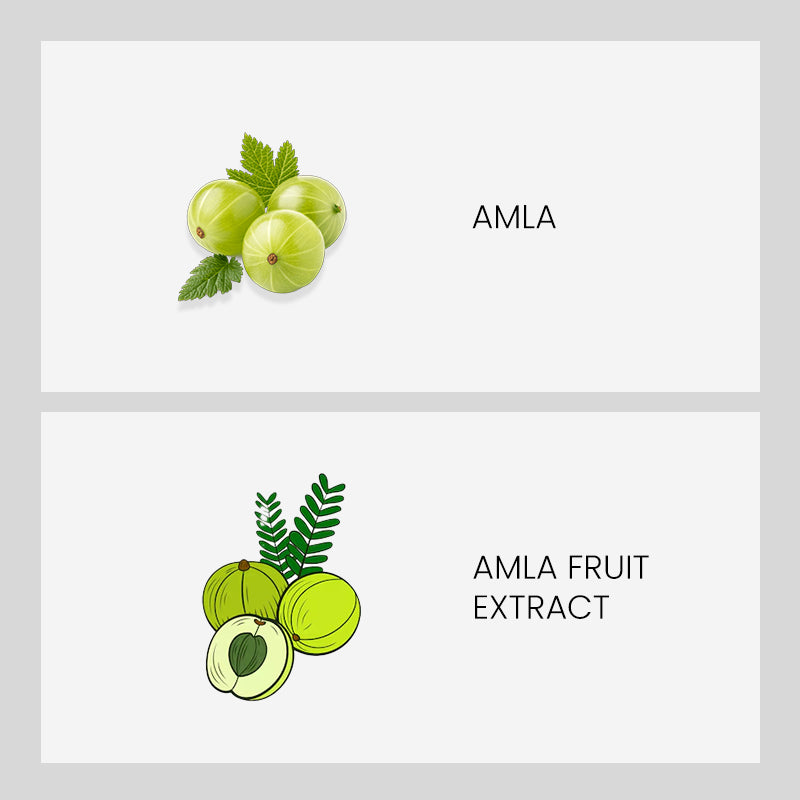 【Patanjali】 Amla Juice｜アムラジュース｜500ml