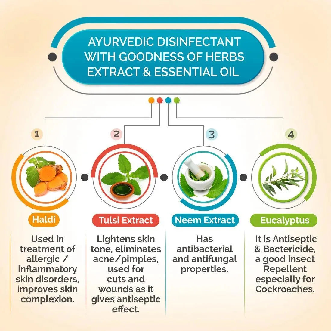 Ankush Antiseptic Disinfectant Liquid - First Aid, Medical, Multipurpose Personal Hygiene & Home Cleaner, Neem, Tulsi & Eucalyptus Essential Oil 100ml
